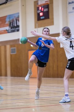 Bild 204 - wBJ TSV Ellerau - SV Fehmarn : Ergebnis: 27:20